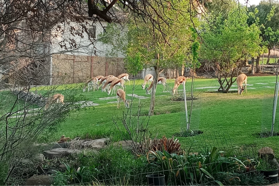 7 Bedroom Property for Sale in Oranjeville Free State